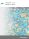 npj Biofilms and Microbiomes封面